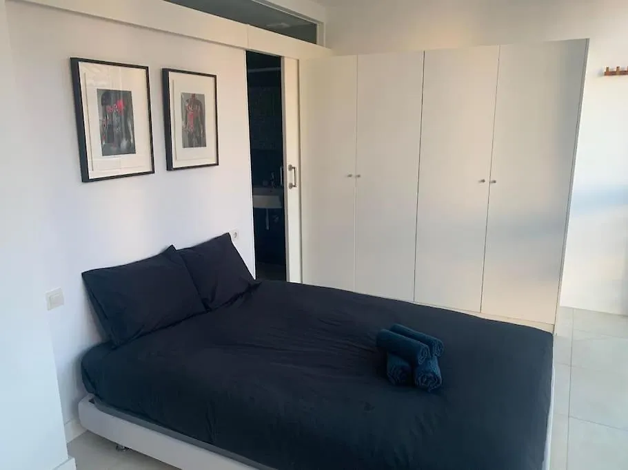 Spacious Loft / Literally At The Foot Of Alhambra Apartment Granada 0*,  Spain